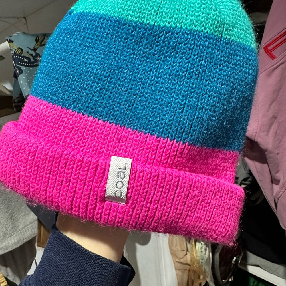 Coal Colorful Striped Beanie